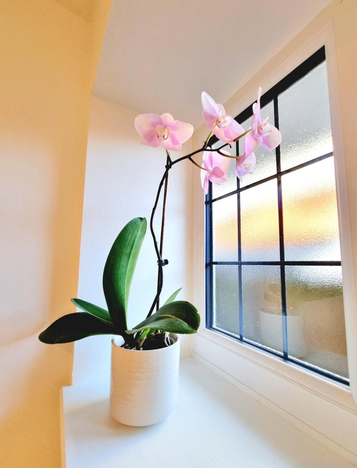Appartamento Private Self-contained Place Bournemouth